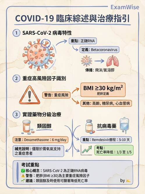 專師 - 法定傳染病與新興感染 - AI 圖文解析預覽