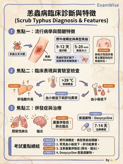 專師 - 法定傳染病與新興感染 - AI 圖文解析預覽