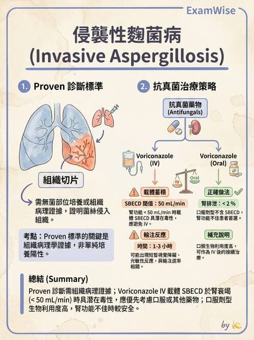 專師 - 抗生素藥理 - AI 圖文解析預覽