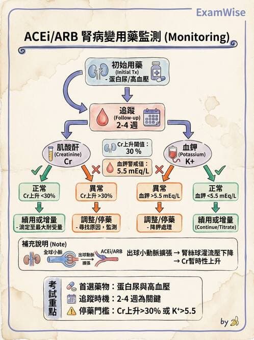 專師 - 糖尿病腎病變與腎絲球疾病 - AI 圖文解析預覽