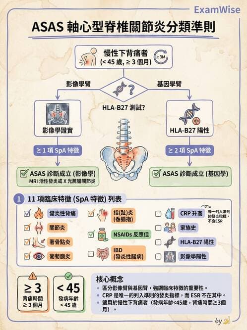 專師 - 風濕免疫疾病 - AI 圖文解析預覽