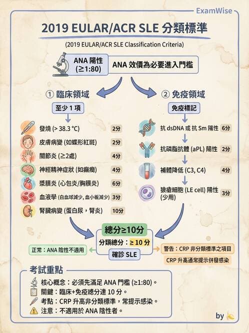 專師 - 風濕免疫疾病 - AI 圖文解析預覽