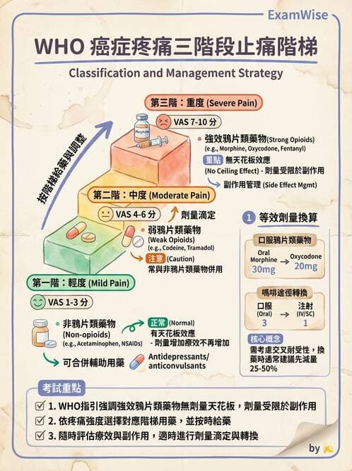 專師 - 安寧緩和與臨終照護 - AI 圖文解析預覽