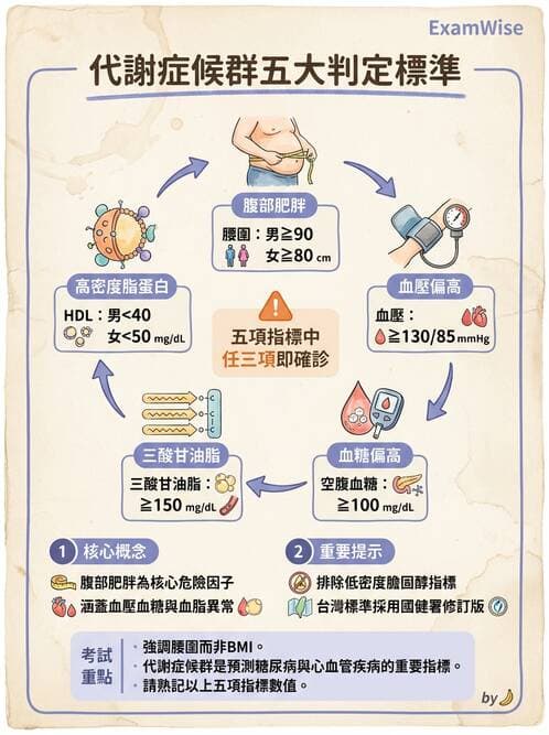 專師 - 代謝症候群與血脂 - AI 圖文解析預覽