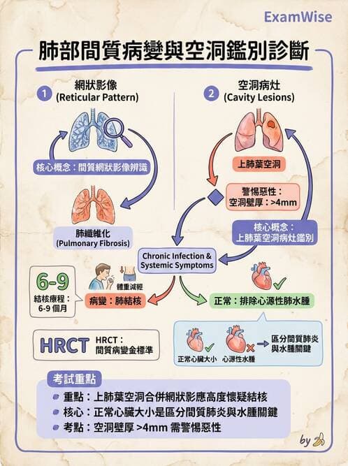 專師 - 肺炎與肺部感染 - AI 圖文解析預覽