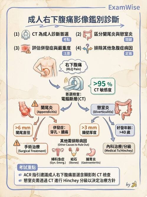 專師 - 闌尾炎與腸道外科 - AI 圖文解析預覽