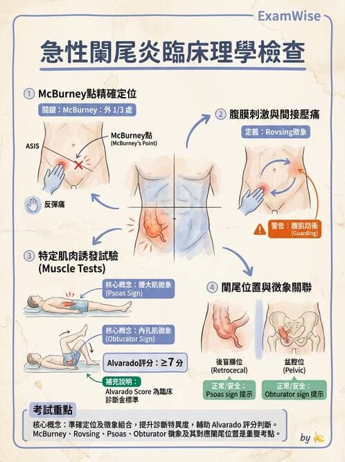 專師 - 闌尾炎與腸道外科 - AI 圖文解析預覽