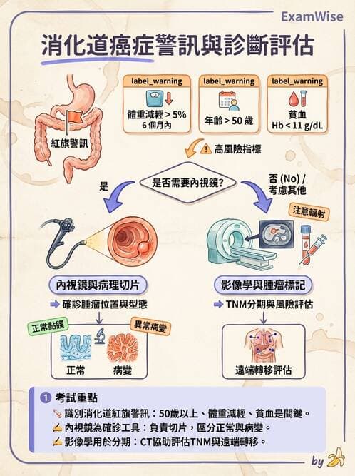 專師 - 肺癌與消化道癌 - AI 圖文解析預覽