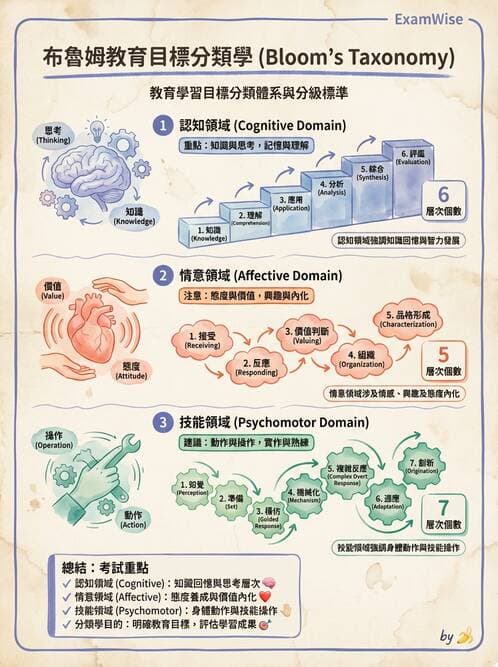 專師 - 教學與臨床評量 - AI 圖文解析預覽
