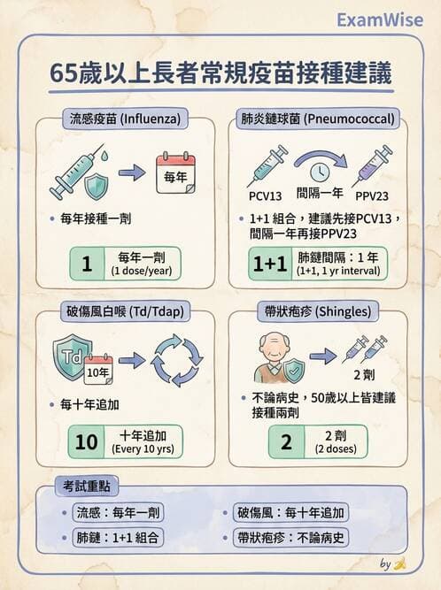 專師 - 健康促進與衛教理論 - AI 圖文解析預覽