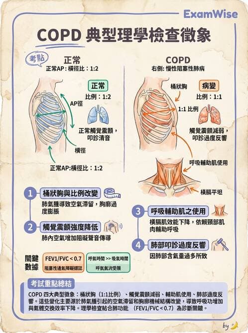 專師 - 阻塞性肺病 - AI 圖文解析預覽
