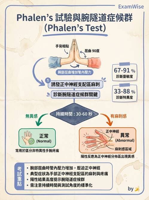 專師 - 周邊神經與脊髓病變 - AI 圖文解析預覽