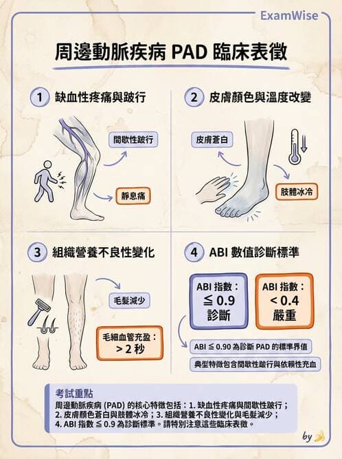 專師 - 周邊血管與靜脈疾病 - AI 圖文解析預覽