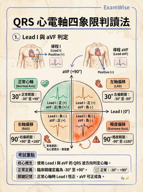 醫檢師 - 心電圖基礎與判讀 - AI 圖文解析預覽