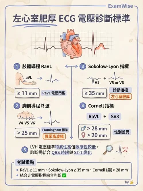 醫檢師 - 心肌病變與特殊心電圖 - AI 圖文解析預覽