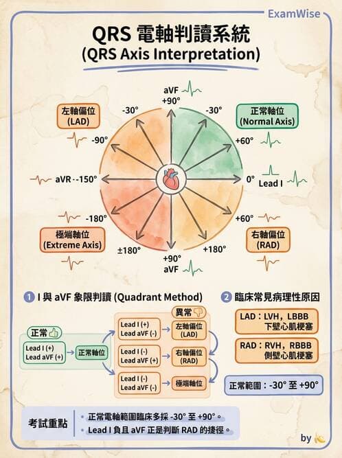 醫檢師 - 心電圖基礎與判讀 - AI 圖文解析預覽