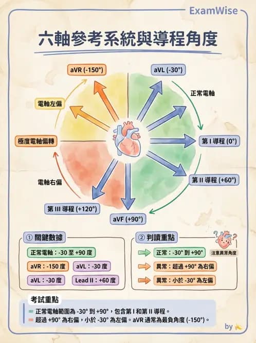 醫檢師 - 心電圖基礎與判讀 - AI 圖文解析預覽
