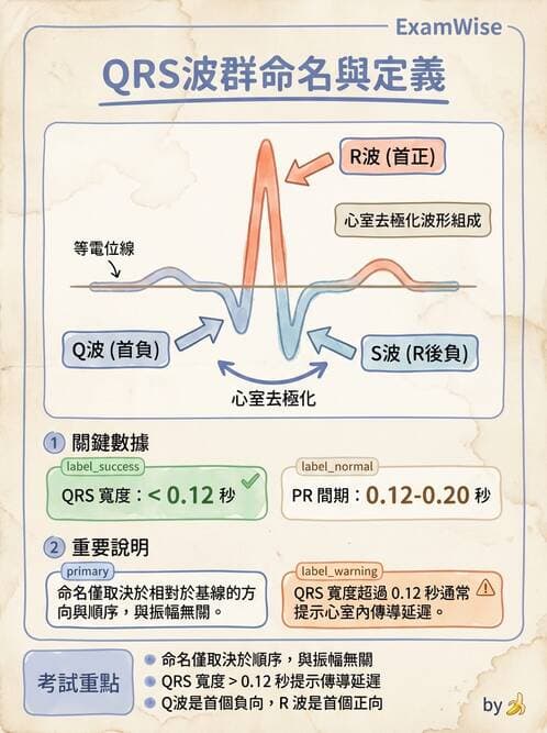 醫檢師 - 心電圖基礎與判讀 - AI 圖文解析預覽