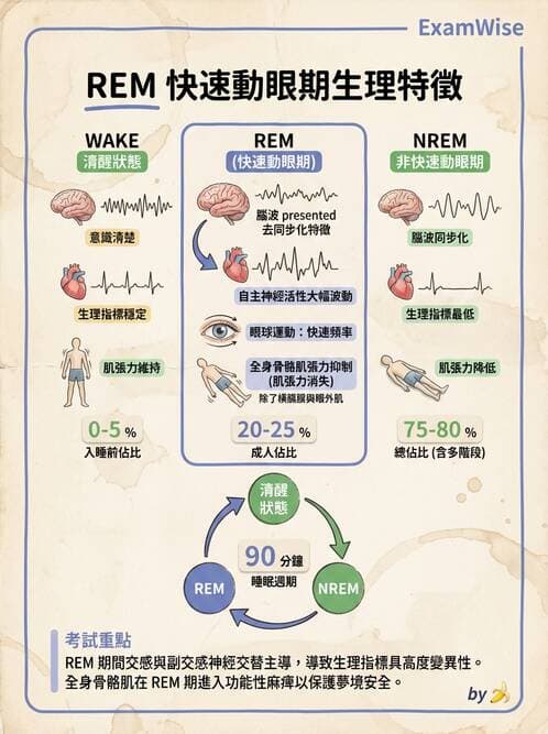 醫檢師 - 神經肌肉與睡眠檢查 - AI 圖文解析預覽