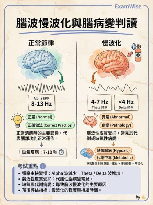 醫檢師 - 腦電圖檢查 - AI 圖文解析預覽