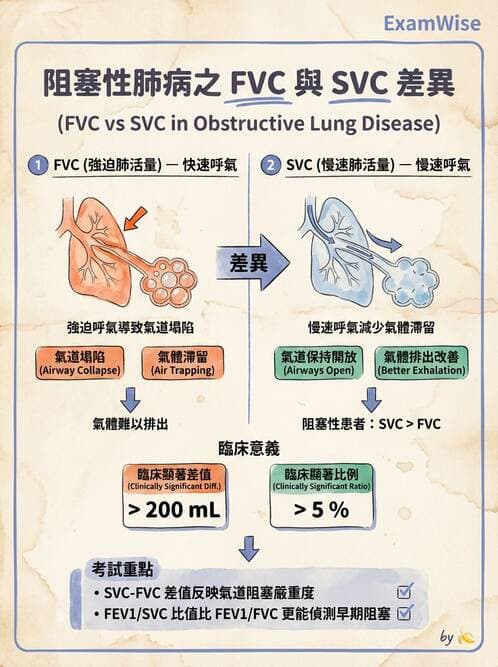 醫檢師 - 肺功能判讀與氣體交換 - AI 圖文解析預覽
