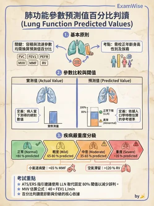 醫檢師 - 肺功能基礎與指標 - AI 圖文解析預覽