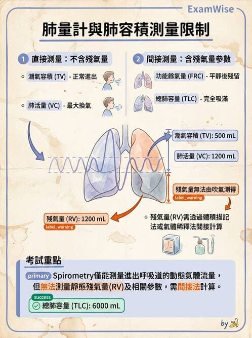 醫檢師 - 肺功能基礎與指標 - AI 圖文解析預覽