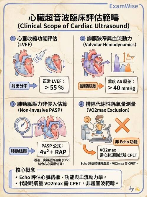 醫檢師 - 超音波檢查 - AI 圖文解析預覽