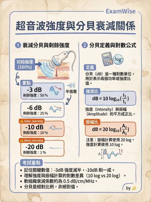 醫檢師 - 超音波檢查 - AI 圖文解析預覽