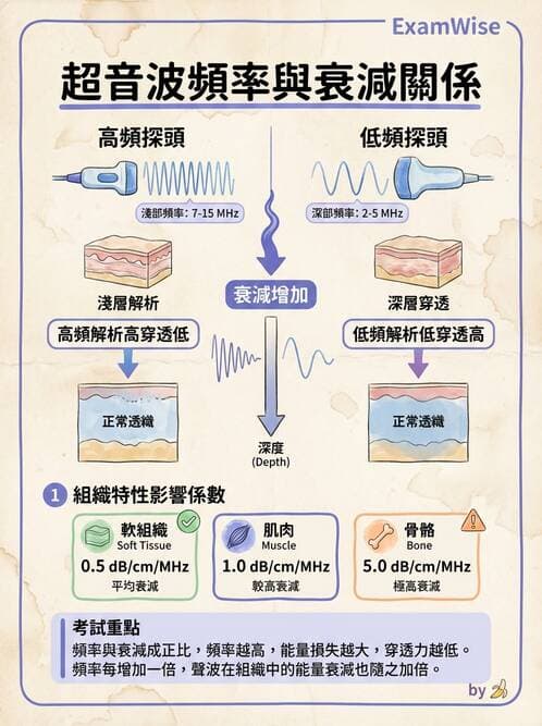 醫檢師 - 超音波檢查 - AI 圖文解析預覽