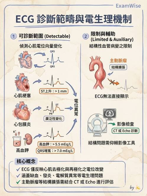 醫檢師 - 心電圖基礎與判讀 - AI 圖文解析預覽