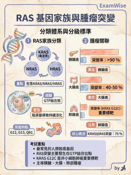 醫檢師 - 腫瘤概論 - AI 圖文解析預覽