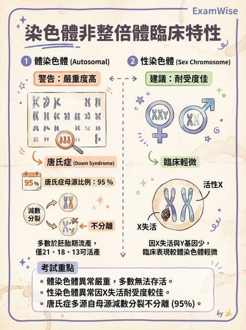 醫檢師 - 遺傳和發育疾病 - AI 圖文解析預覽