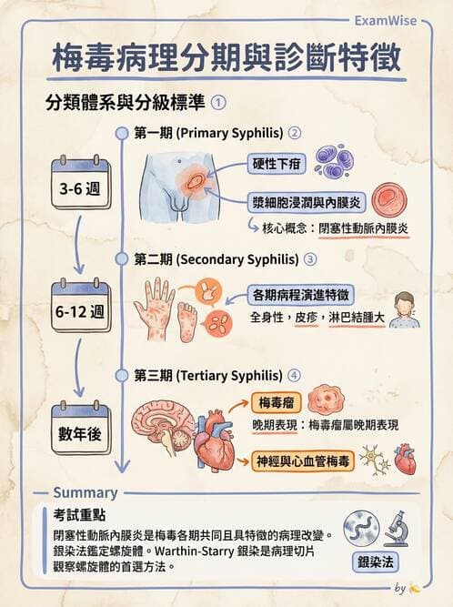 醫檢師 - 感染 - AI 圖文解析預覽