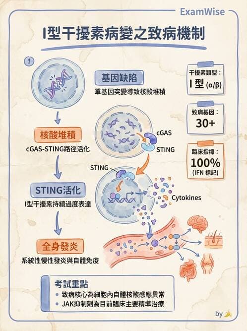 醫檢師 - 免疫疾病 - AI 圖文解析預覽