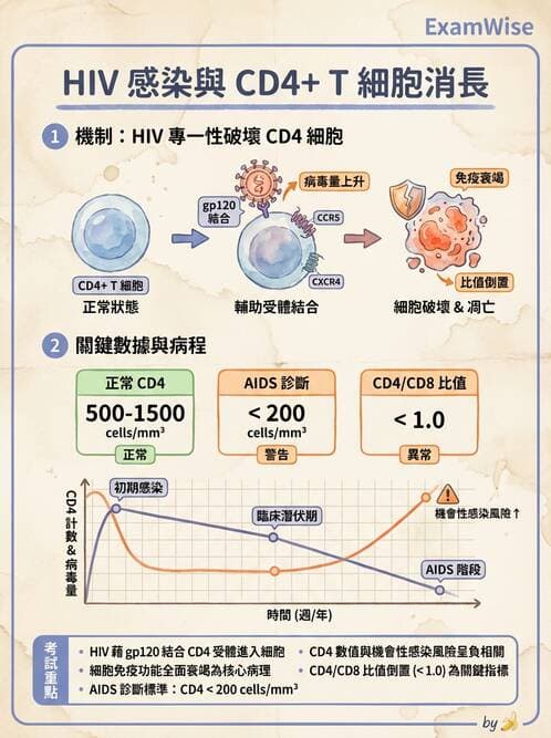 醫檢師 - 免疫疾病 - AI 圖文解析預覽