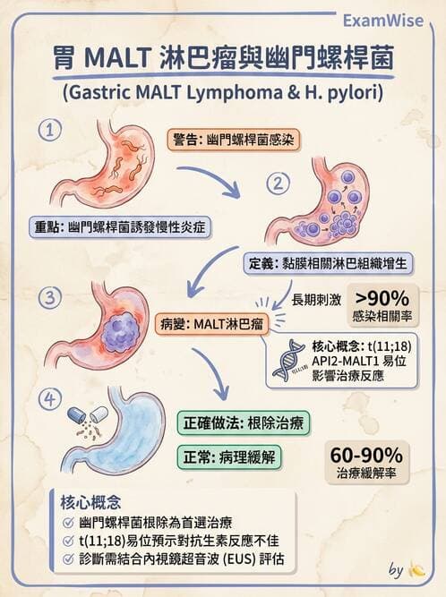 醫檢師 - 造血系統疾病 - AI 圖文解析預覽