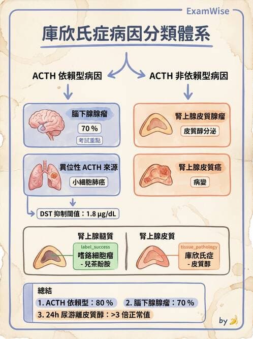 醫檢師 - 內分泌疾病 - AI 圖文解析預覽