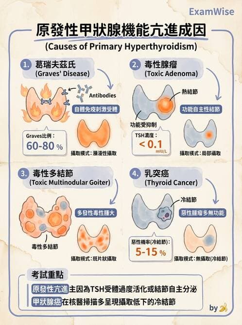 醫檢師 - 內分泌疾病 - AI 圖文解析預覽