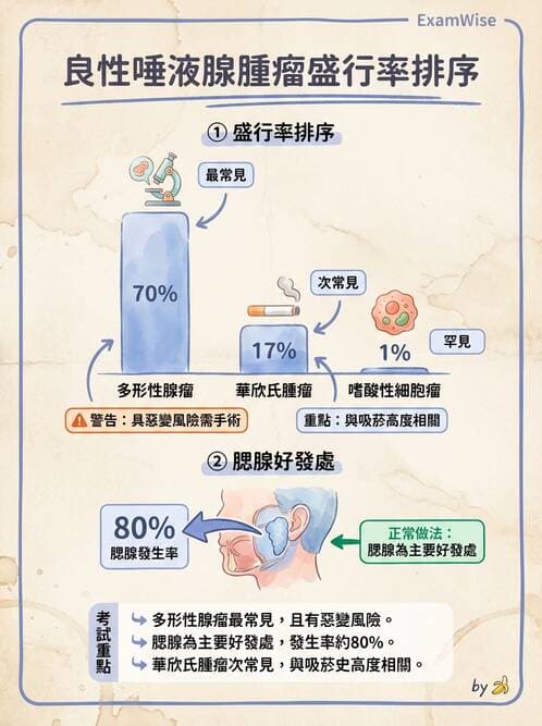 醫檢師 - 消化肝膽疾病 - AI 圖文解析預覽
