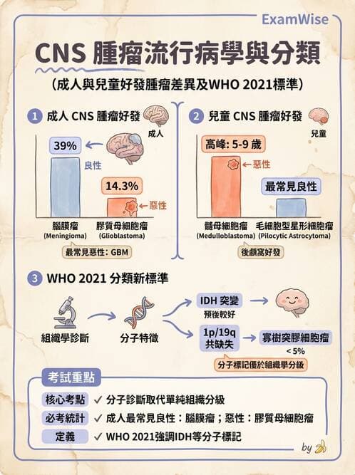 醫檢師 - 神經系統疾病 - AI 圖文解析預覽