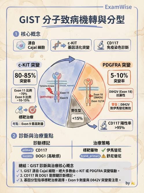 醫檢師 - 消化肝膽疾病 - AI 圖文解析預覽