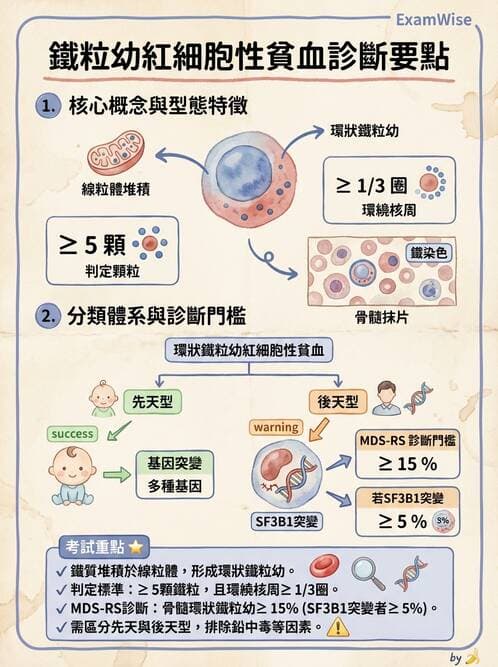 醫檢師 - 貧血診斷與營養缺乏性貧血 - AI 圖文解析預覽