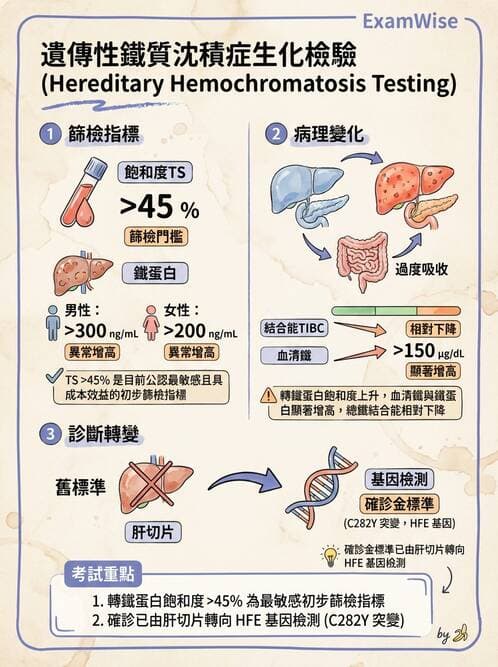 醫檢師 - 貧血診斷與營養缺乏性貧血 - AI 圖文解析預覽