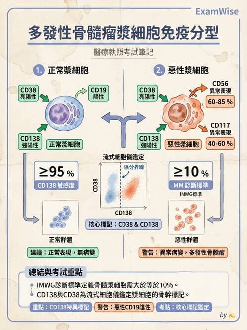 醫檢師 - 淋巴瘤、漿細胞疾病與白血球異常 - AI 圖文解析預覽