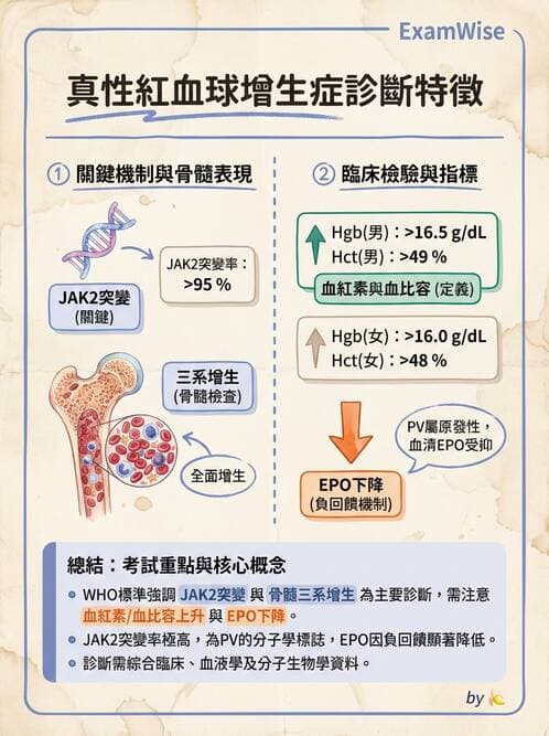 醫檢師 - 慢性血液腫瘤與骨髓增生疾患 - AI 圖文解析預覽