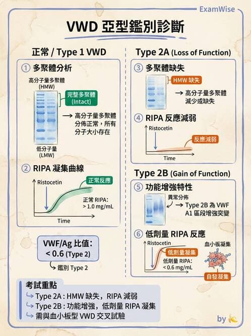 醫檢師 - 出血性疾病與檢驗 - AI 圖文解析預覽
