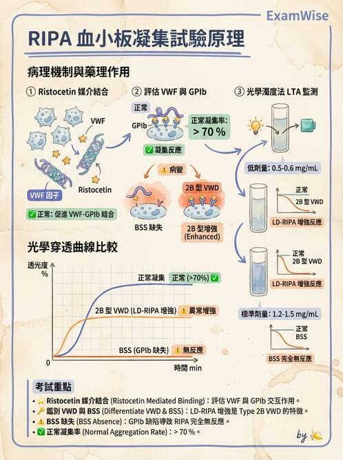 醫檢師 - 血小板與止血生理 - AI 圖文解析預覽