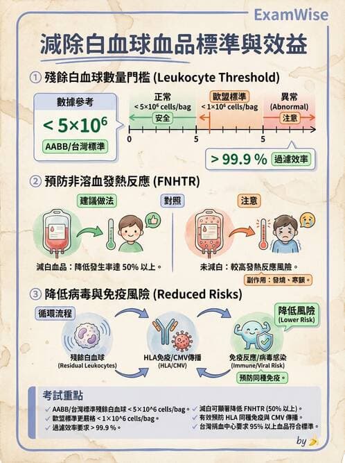 醫檢師 - 血液成分製備與輸血檢查 - AI 圖文解析預覽