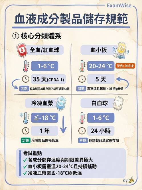 醫檢師 - 血液成分製備與輸血檢查 - AI 圖文解析預覽